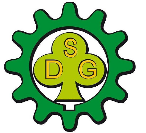 dsg